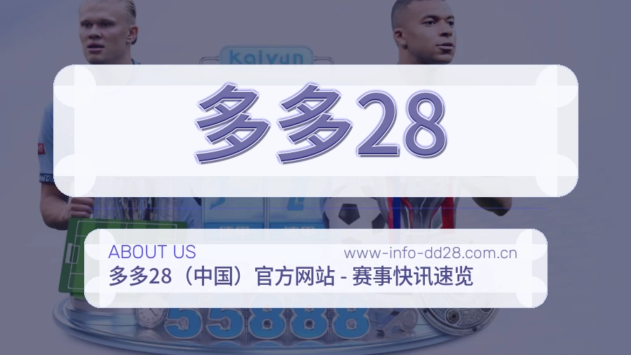 多多28公司简介与平台服务展示